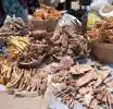 Herbal medicine is not main cause of kidney disease – Expert